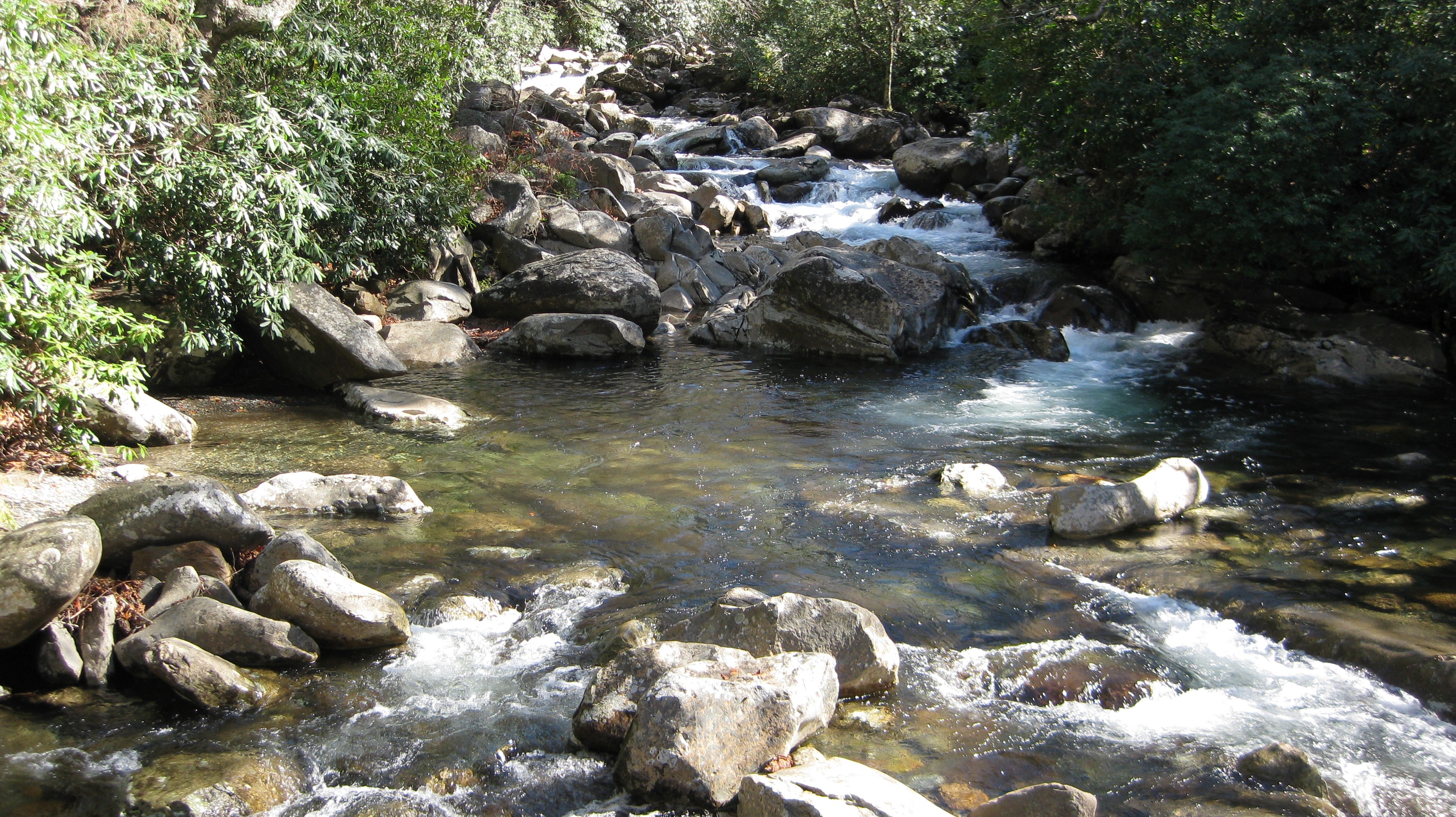 water, Nature, Tennessee, Rivers Wallpaper