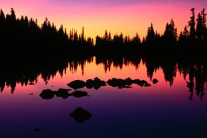 trees, Silhouettes, Oregon, Lakes, Reflections