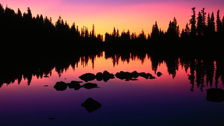trees, Silhouettes, Oregon, Lakes, Reflections HD Wallpaper Desktop Background