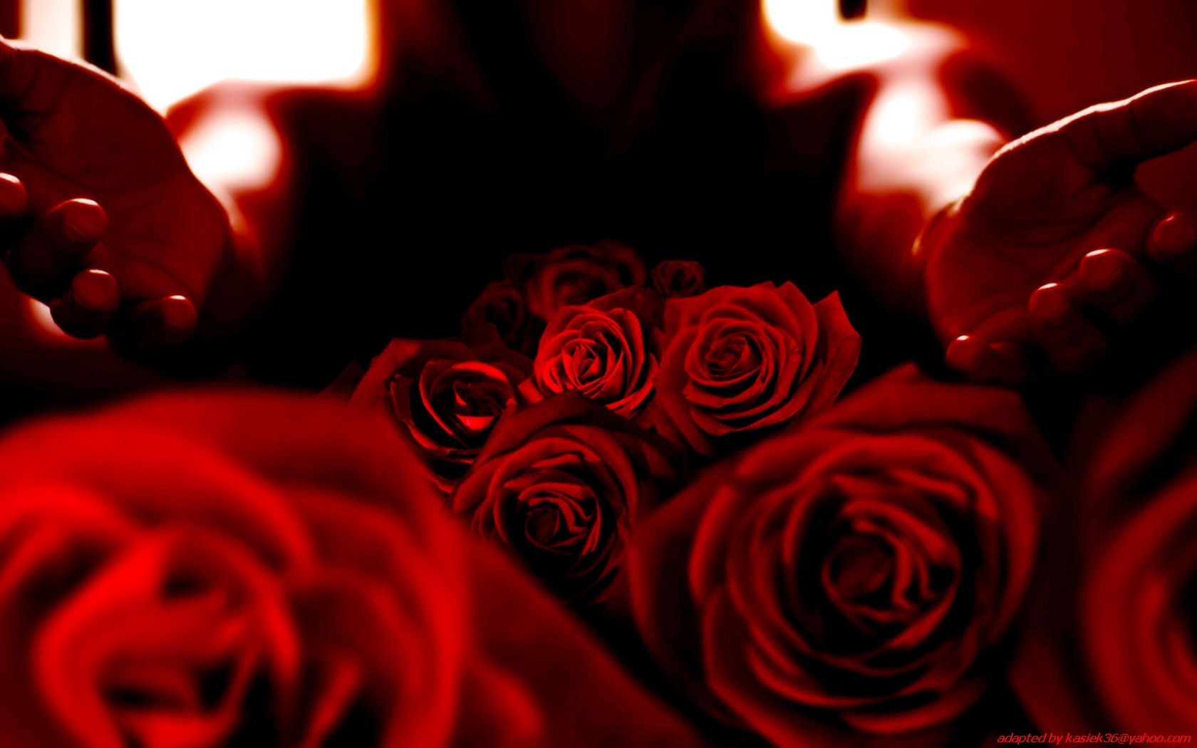 flowers Wallpaper
