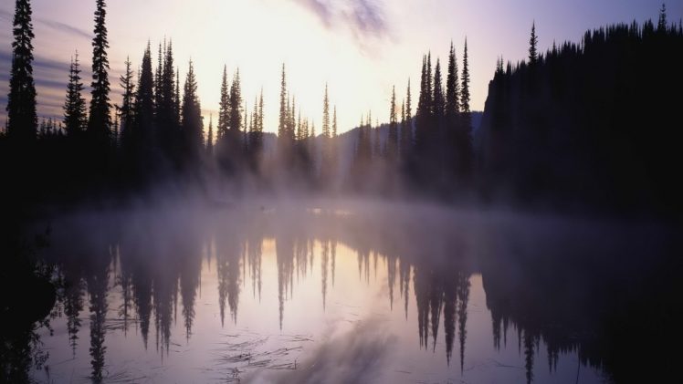 nature, Tree, Fog, Lake HD Wallpaper Desktop Background