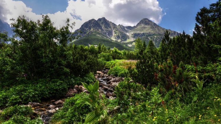 nature, Tree, Mountain, Rock, Streeam HD Wallpaper Desktop Background