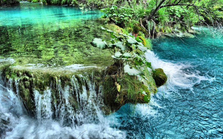 river, Waterfall, Plants, Nature HD Wallpaper Desktop Background