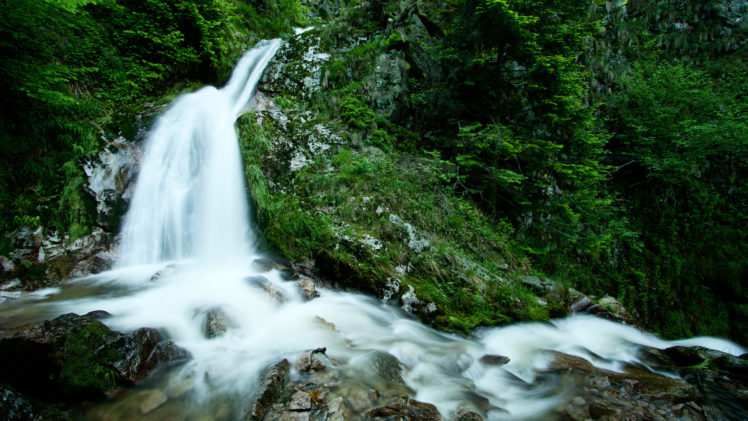 stream, Photo, Green, Forest, Waterfall, Waterfall, Water, Nature, Wallpapers, Forest, Nature HD Wallpaper Desktop Background