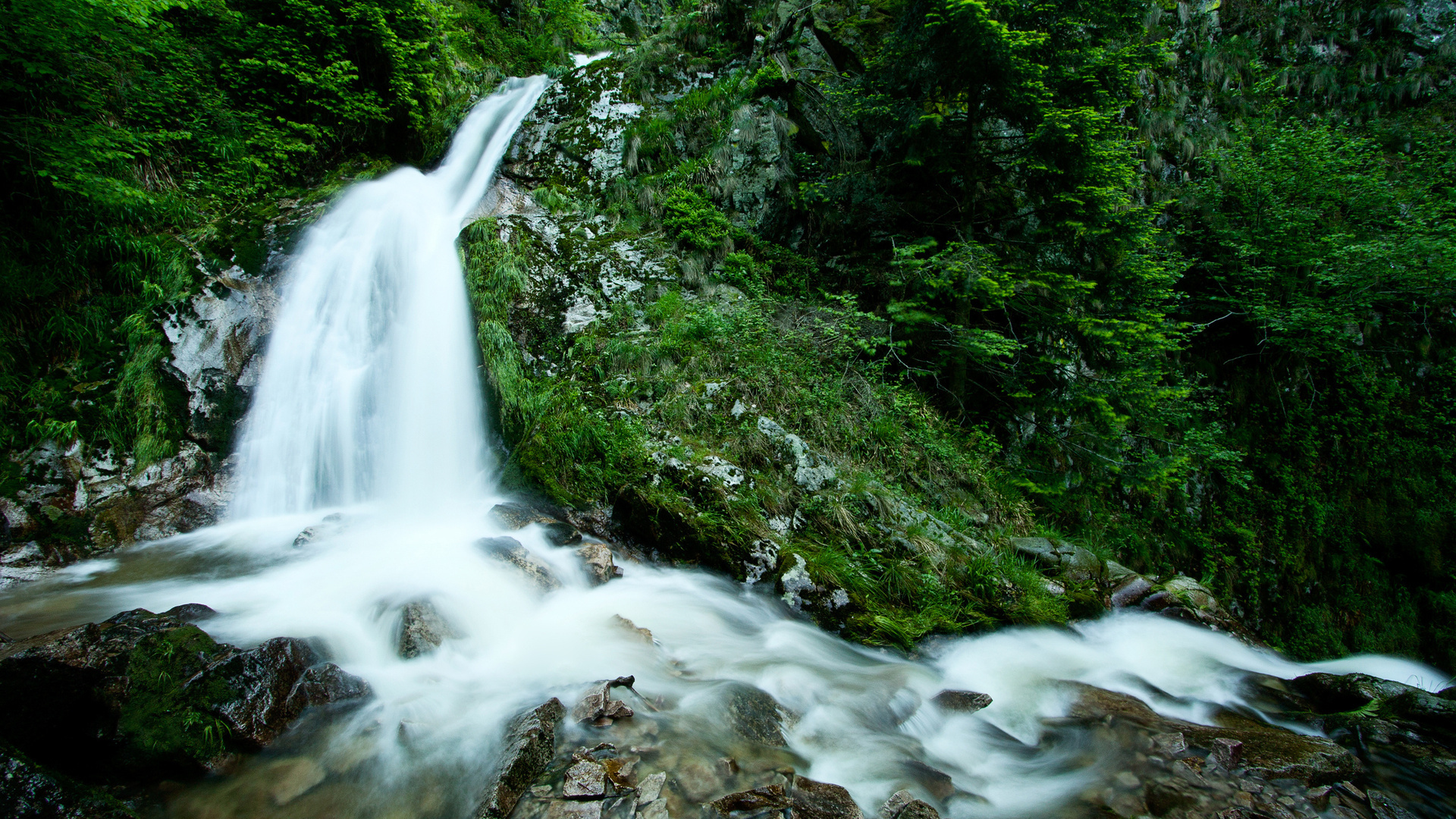 stream, Photo, Green, Forest, Waterfall, Waterfall, Water, Nature, Wallpape...