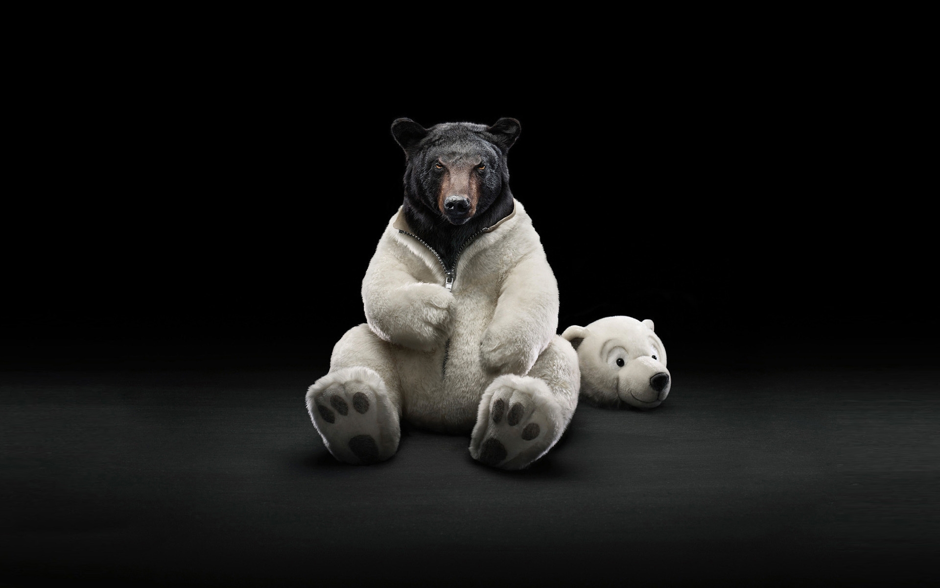 dressed, Bear Wallpaper
