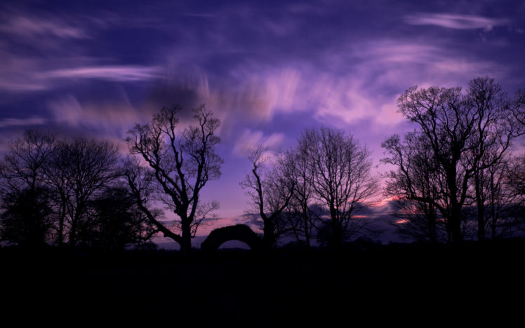 evening, Sunset, Trees, Silhouettes, Sky, Clouds HD Wallpaper Desktop Background