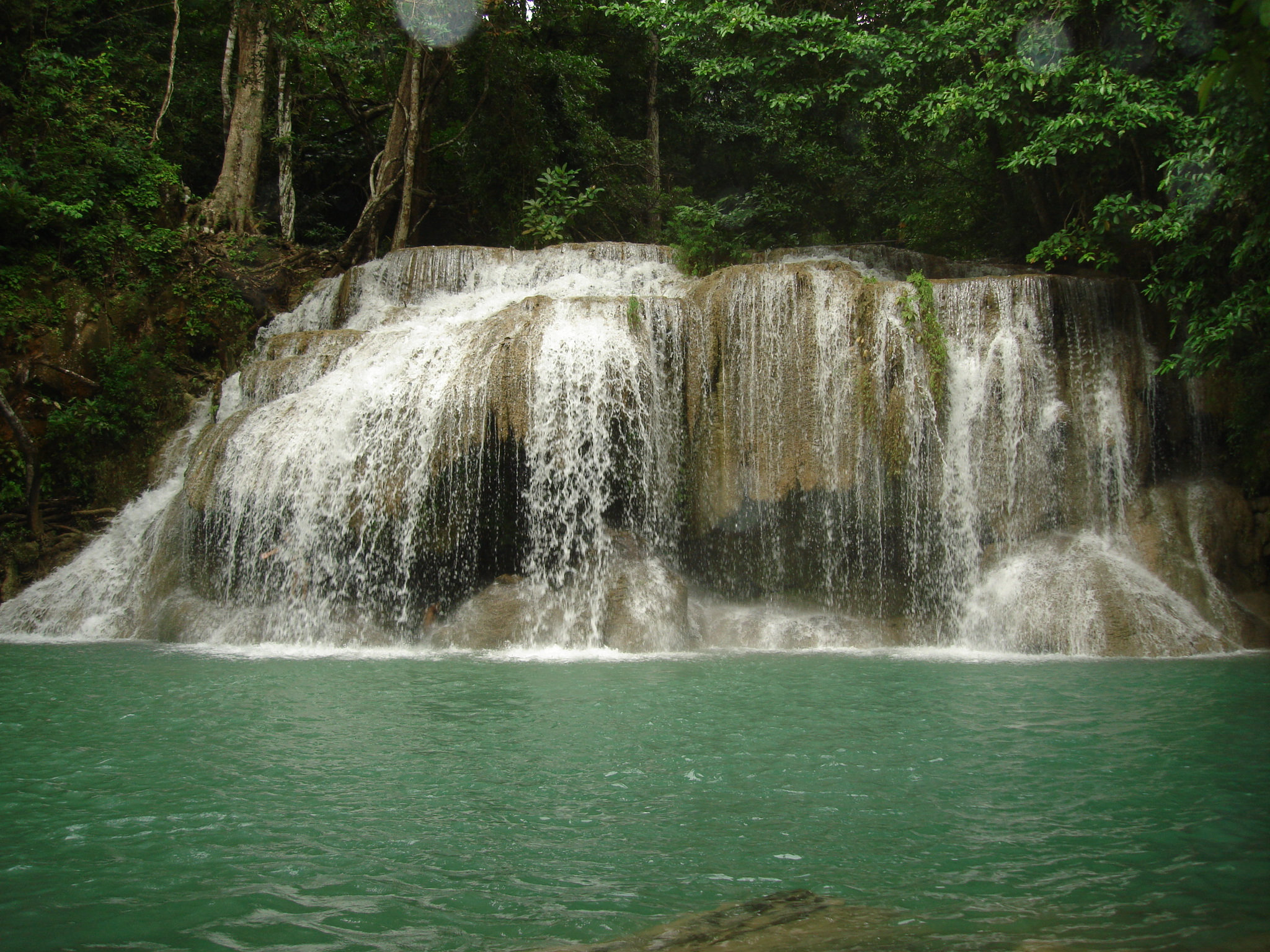 water, Inside, The, Forest Wallpaper