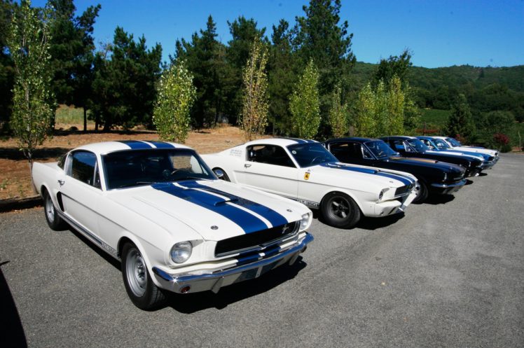1965, Ford, Mustang, Shelby, Gt, 350, Prototype, Classic, Old, Muscle, Usa, 12 HD Wallpaper Desktop Background