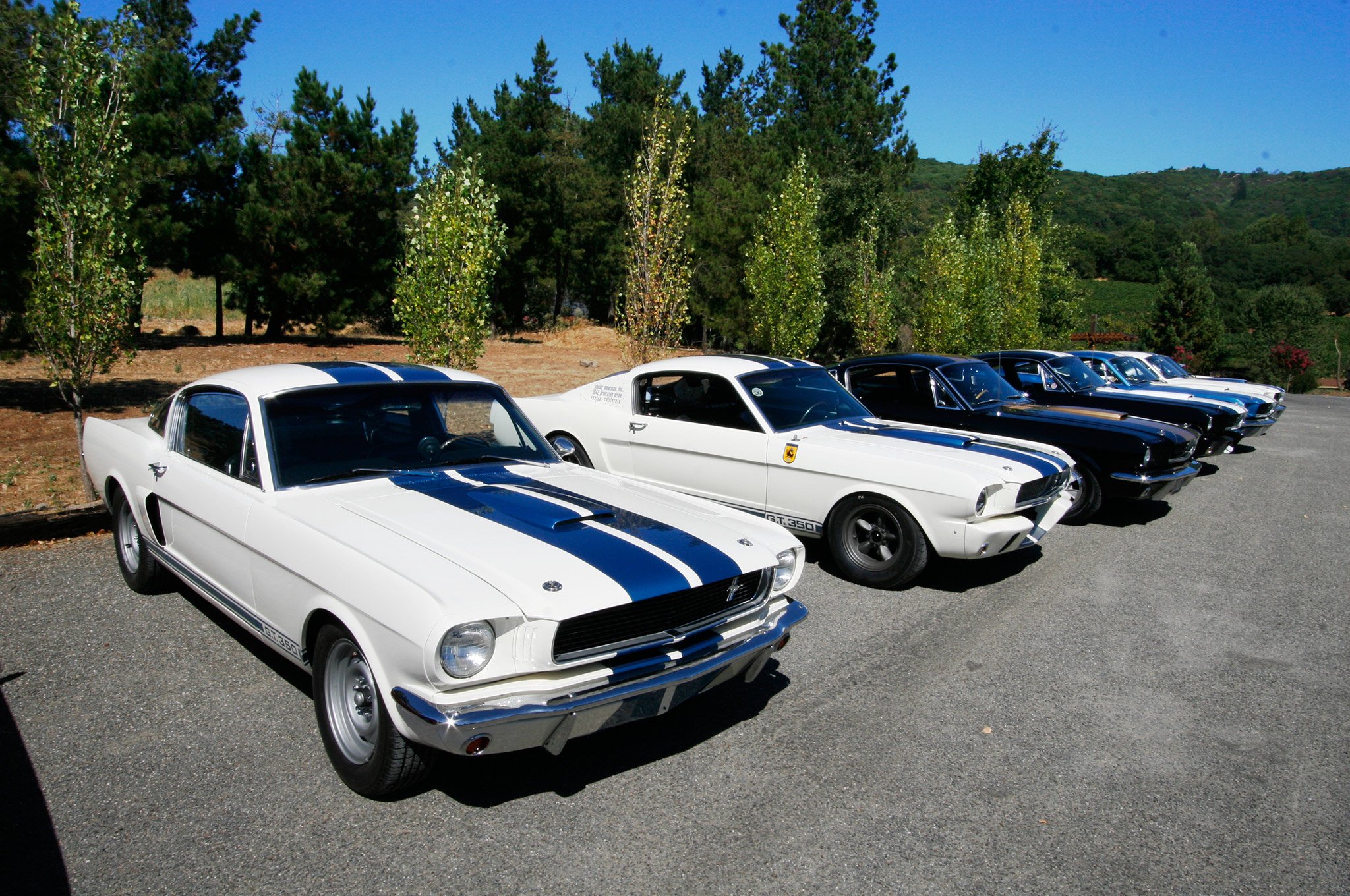 1965, Ford, Mustang, Shelby, Gt, 350, Prototype, Classic, Old, Muscle, Usa, 12 Wallpaper