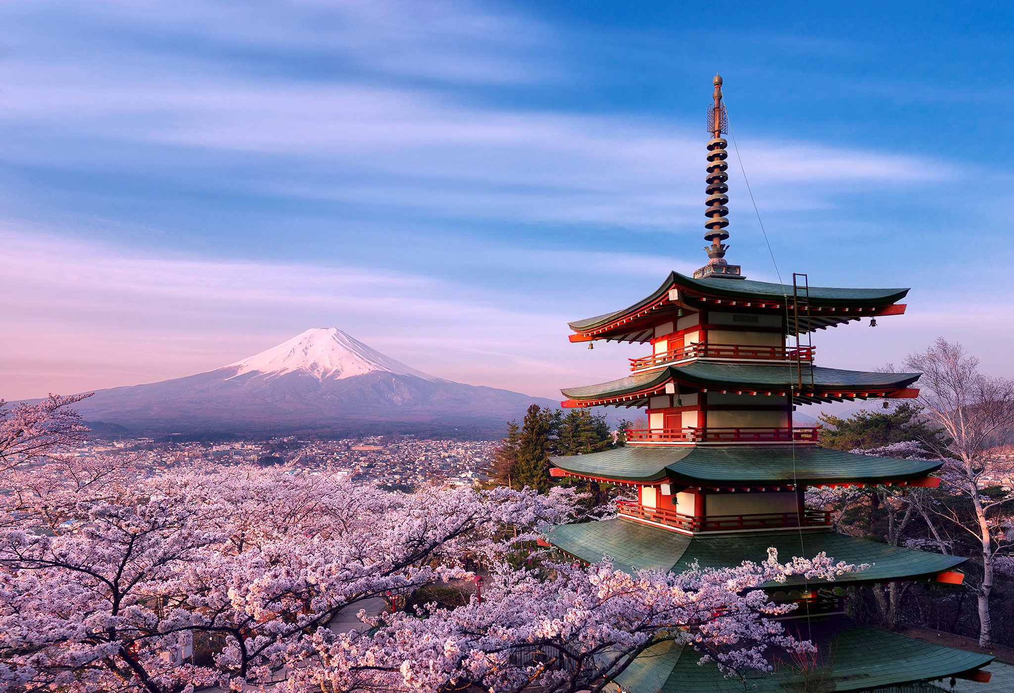 gora, Japan, Strato, Volcano, Blossom, Blossoms, Flower, Scenic, Castle Wallpaper