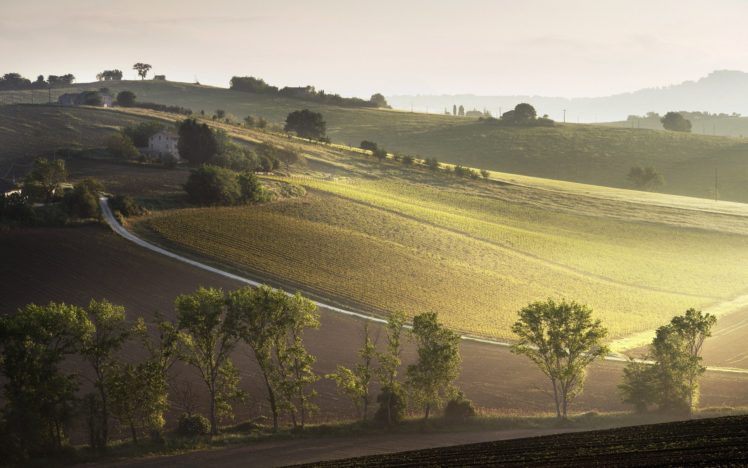 landscape, Raggi, Del, Mattino, Italian, Italy, Farm, Hill HD Wallpaper Desktop Background