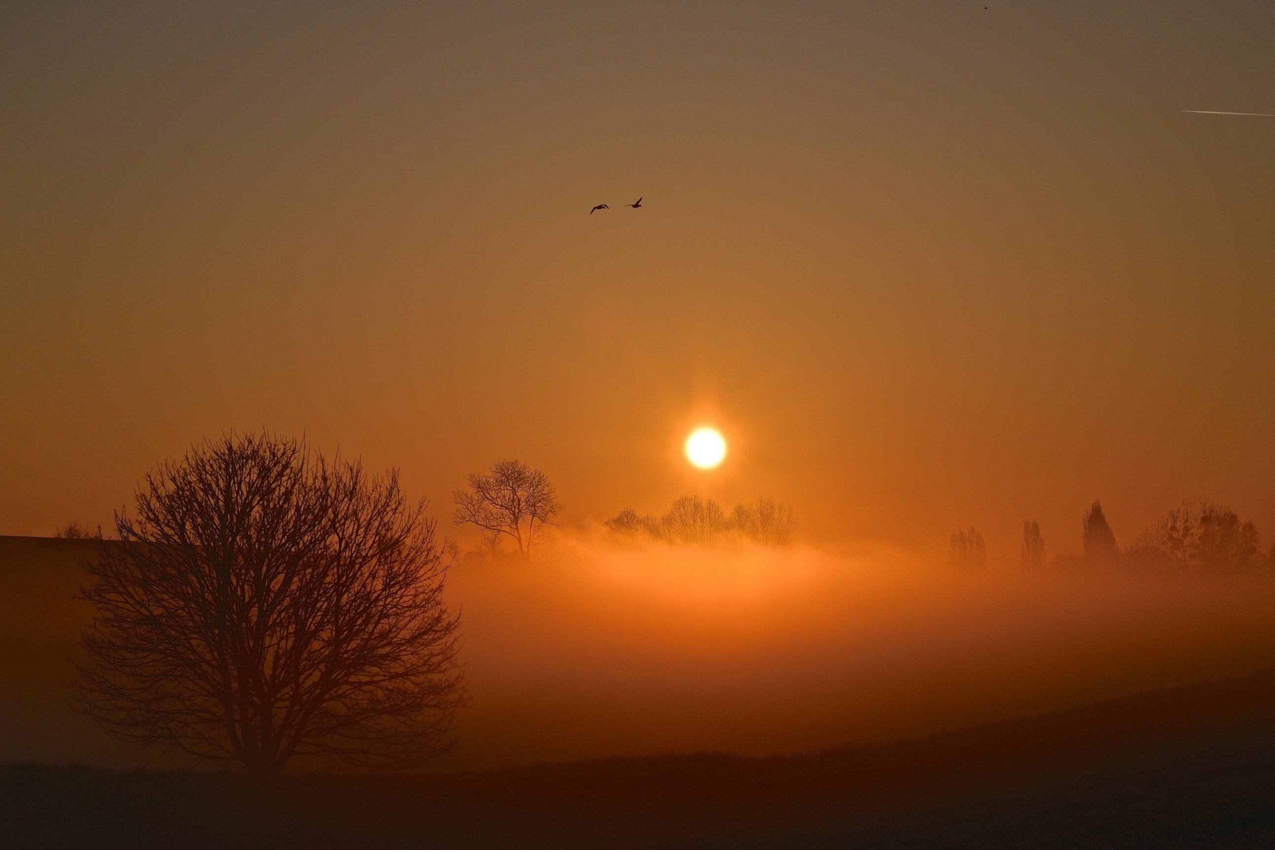 Favorite sun. Misty morning.