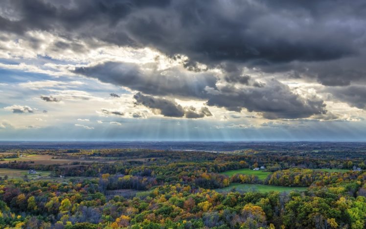 forest, Tree, Landscape, Nature, Autumn, Sky, Clouds HD Wallpaper Desktop Background