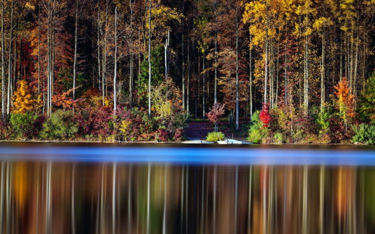 forest, Tree, Landscape, Nature, Autumn, Reflection, Lake HD Wallpaper Desktop Background