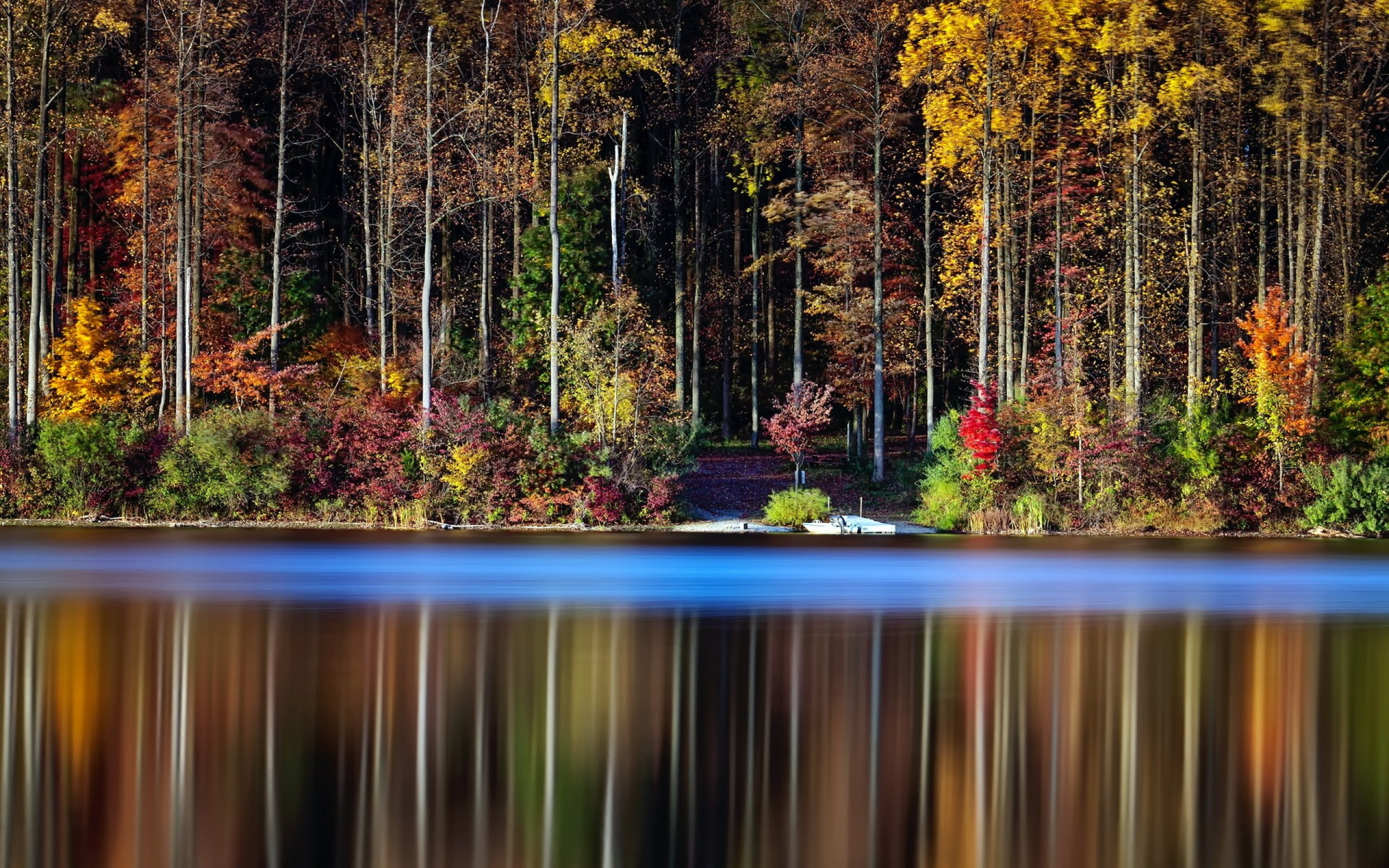 forest, Tree, Landscape, Nature, Autumn, Reflection, Lake Wallpaper