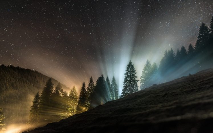 forest, Tree, Landscape, Nature, Fog, Night, Sky, Stars HD Wallpaper Desktop Background