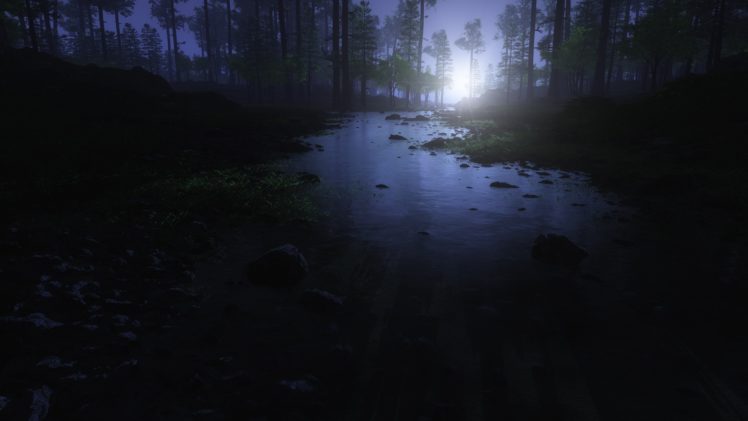 forest, Tree, Landscape, Nature, Night, Moon HD Wallpaper Desktop Background