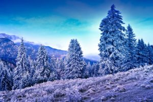 mountains, Trees, Frost, Winter