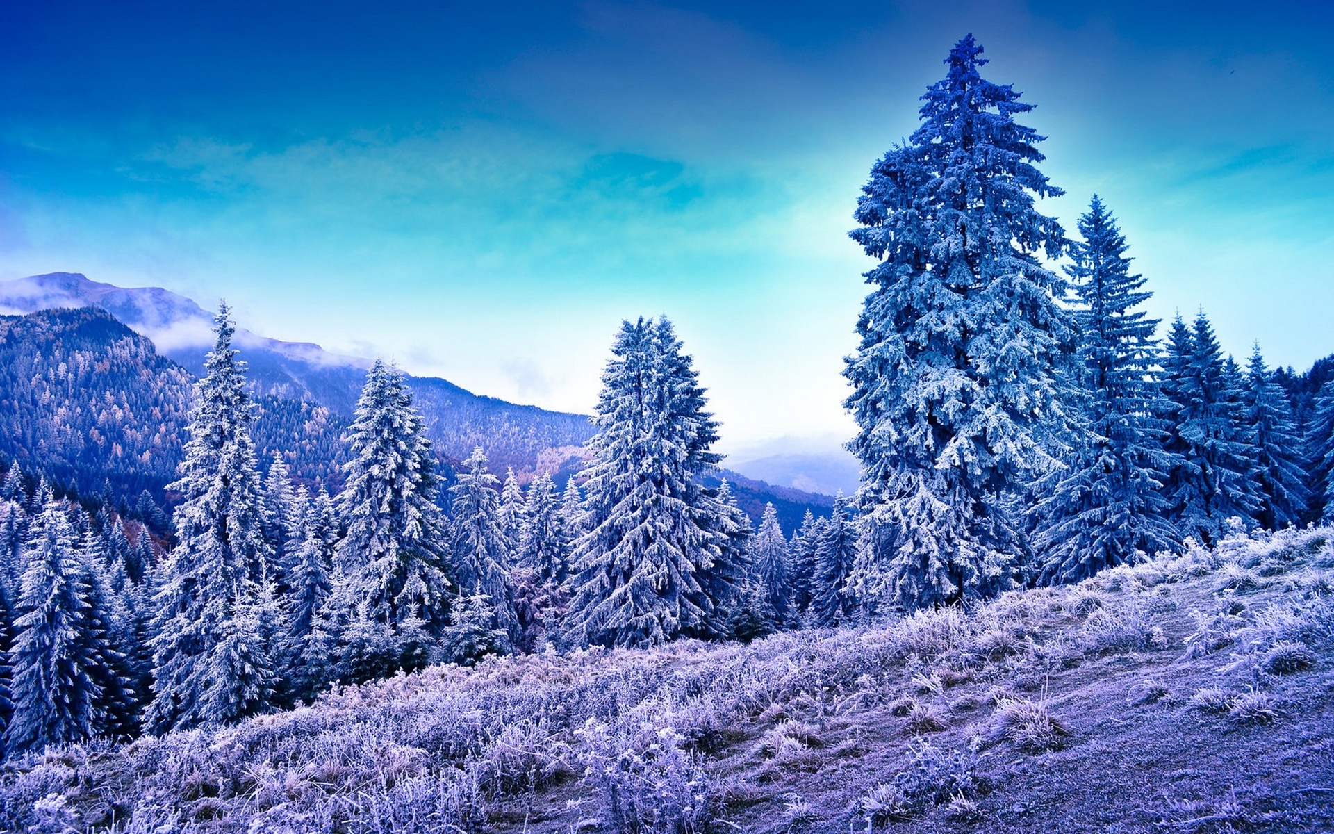 mountains, Trees, Frost, Winter Wallpaper