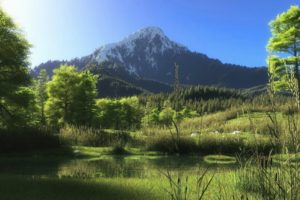 green forest under the mountain , Nature, Tree, Mountain, Forest, Lake