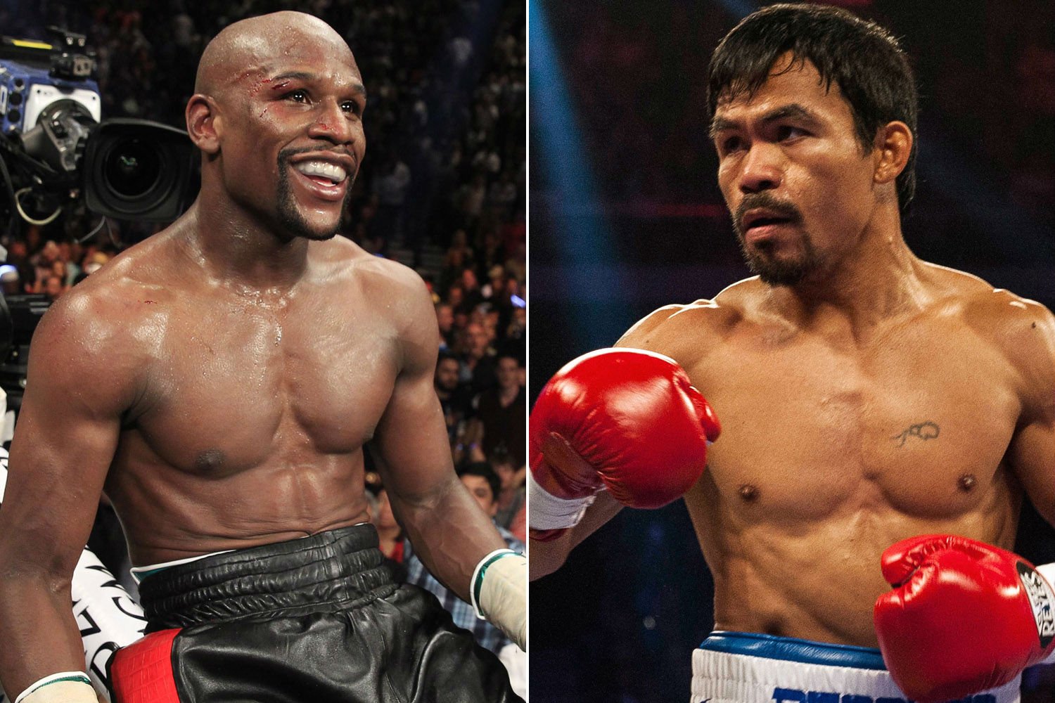 mayweather, Pacquiao, Boxing, Manny, Floyd, Fighting, Warrior Wallpaper