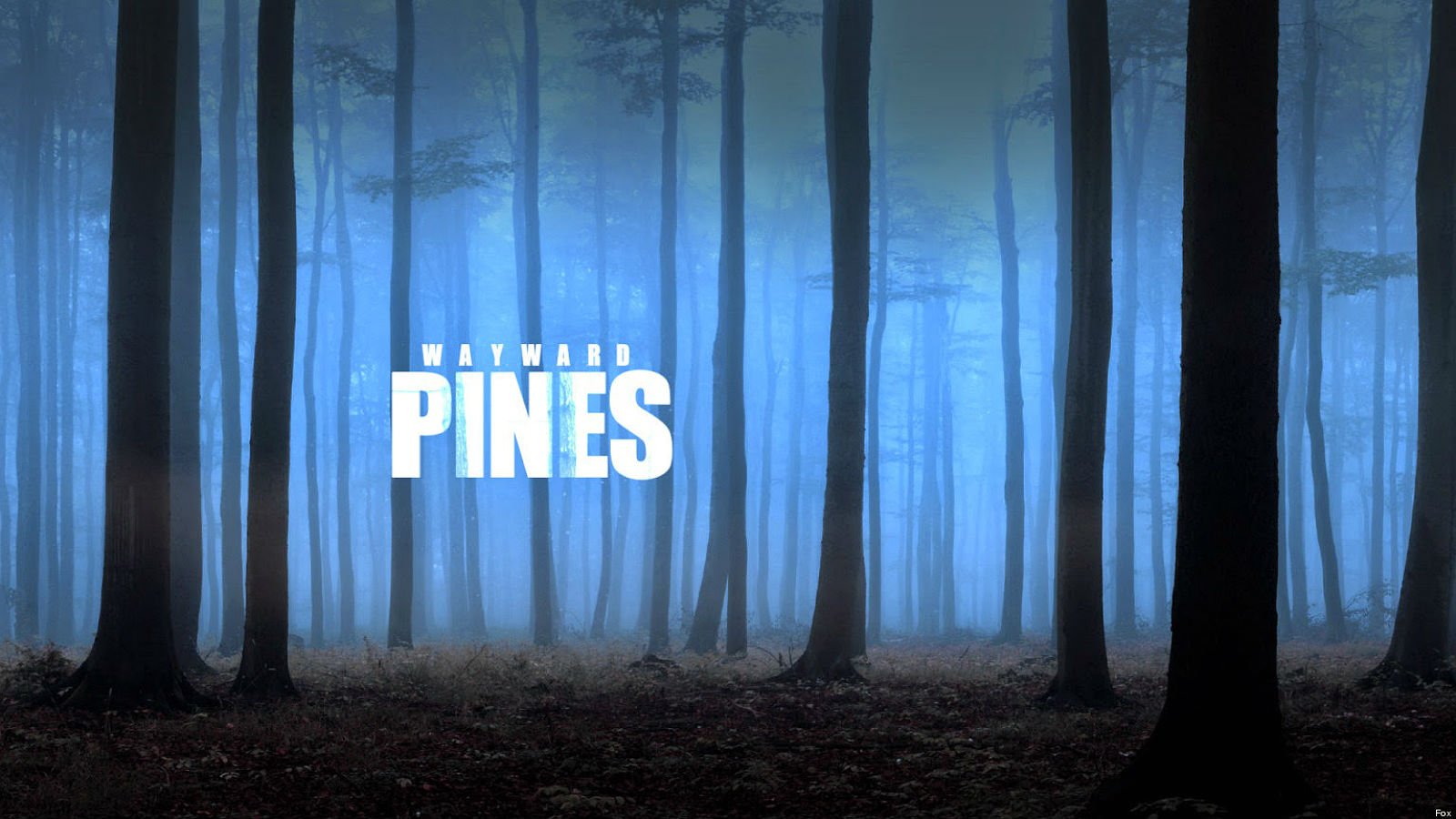 wayward, Pines, Fox, Series, Drama, Mystery, 1wpines, Crime, Thriller, Poster Wallpaper