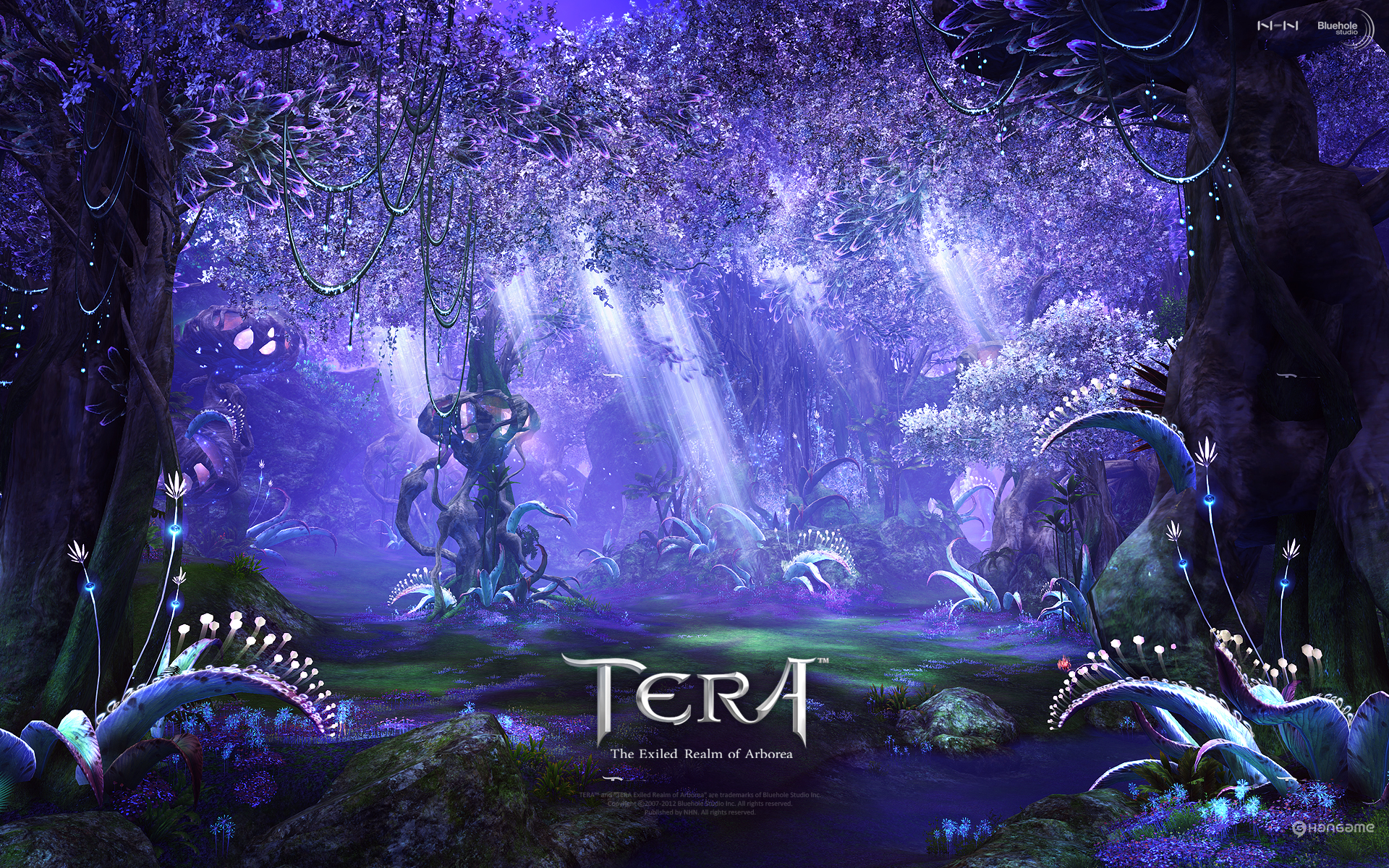 tera, Online, Fantasy, Anime Wallpaper
