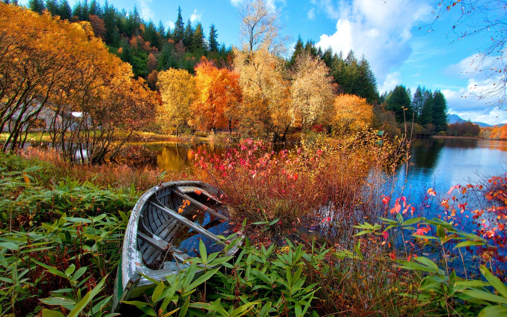 nature Wallpaper