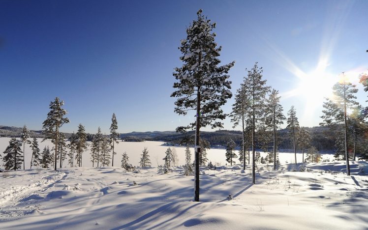 winter, Trees, Sunrise HD Wallpaper Desktop Background