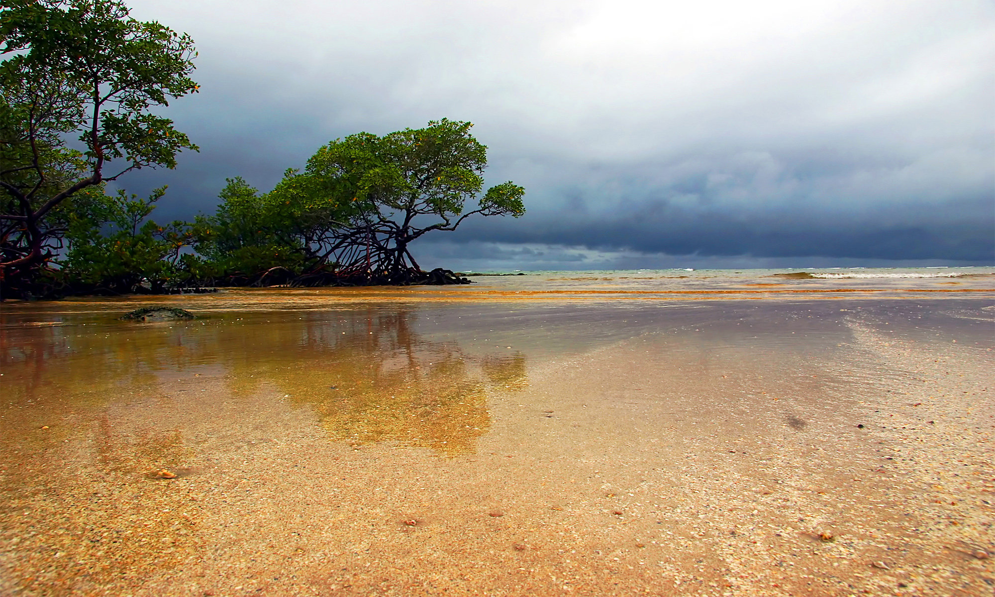 dry, Sea Wallpaper