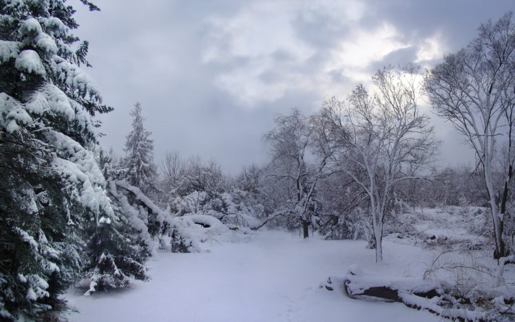 winter, Snow, Trees, Landscape HD Wallpaper Desktop Background