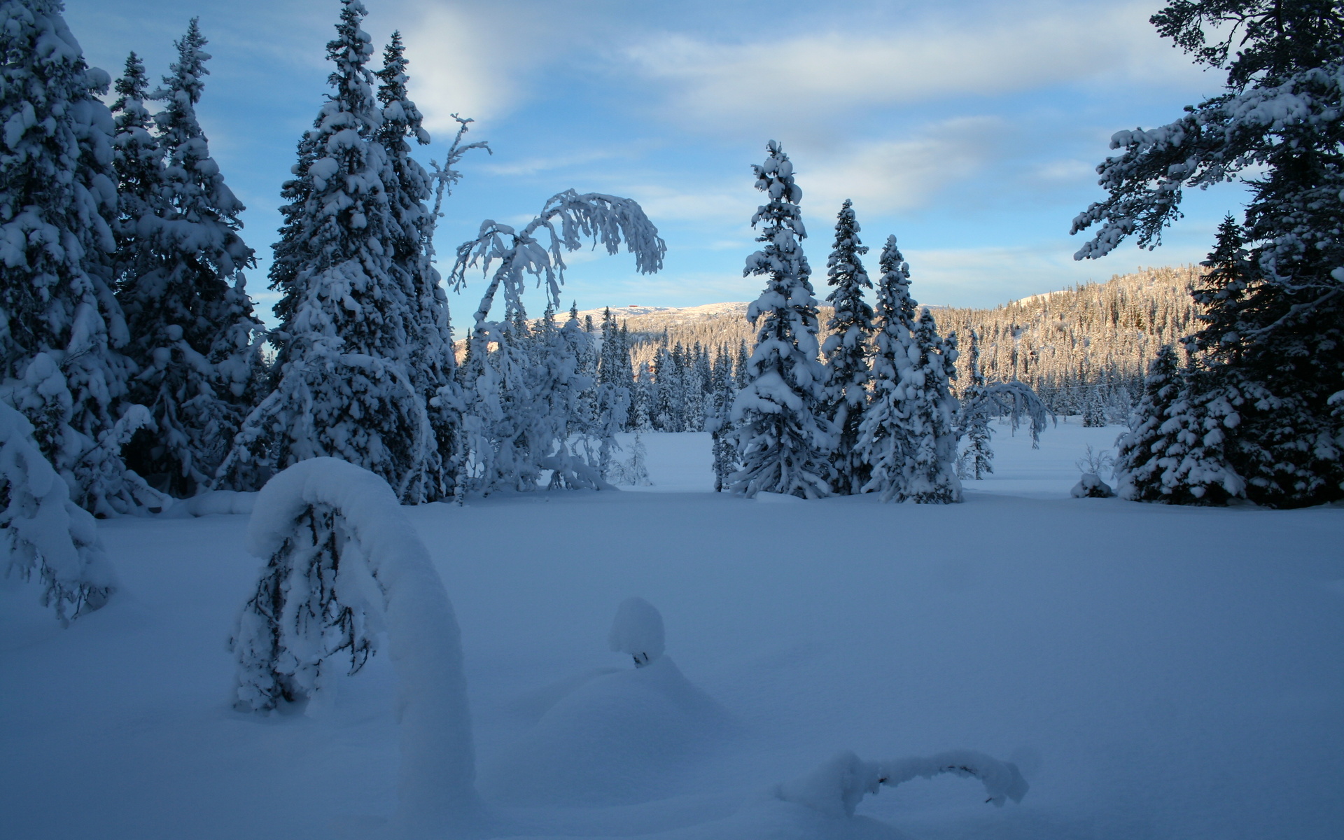 winter, Snow, Trees, Landscape Wallpaper
