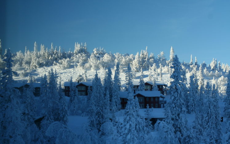 winter, Trees, Snow, Houses, Landscape HD Wallpaper Desktop Background