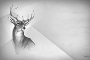 deer, Black, White, Art, Painting, Animal