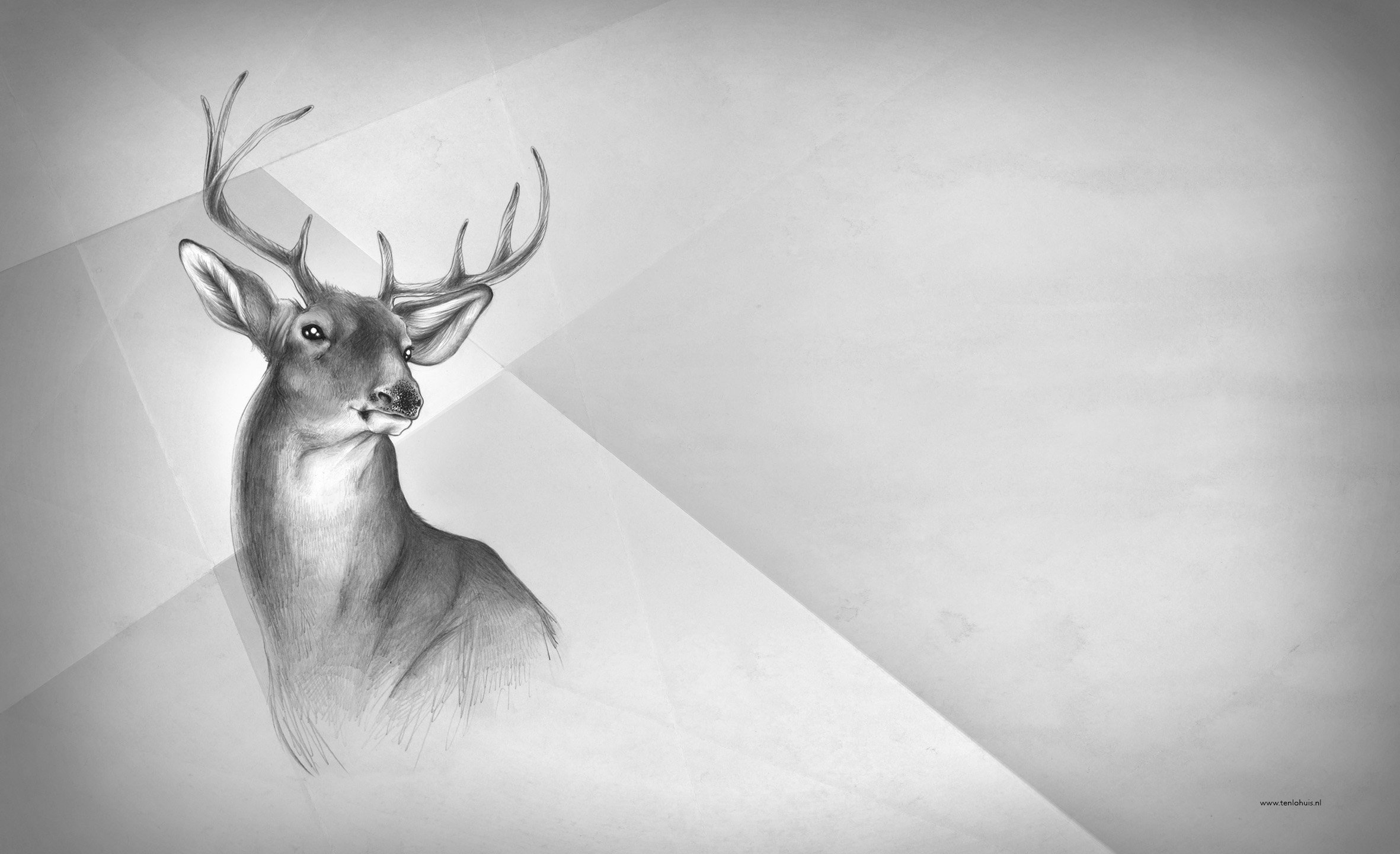 deer, Black, White, Art, Painting, Animal Wallpaper