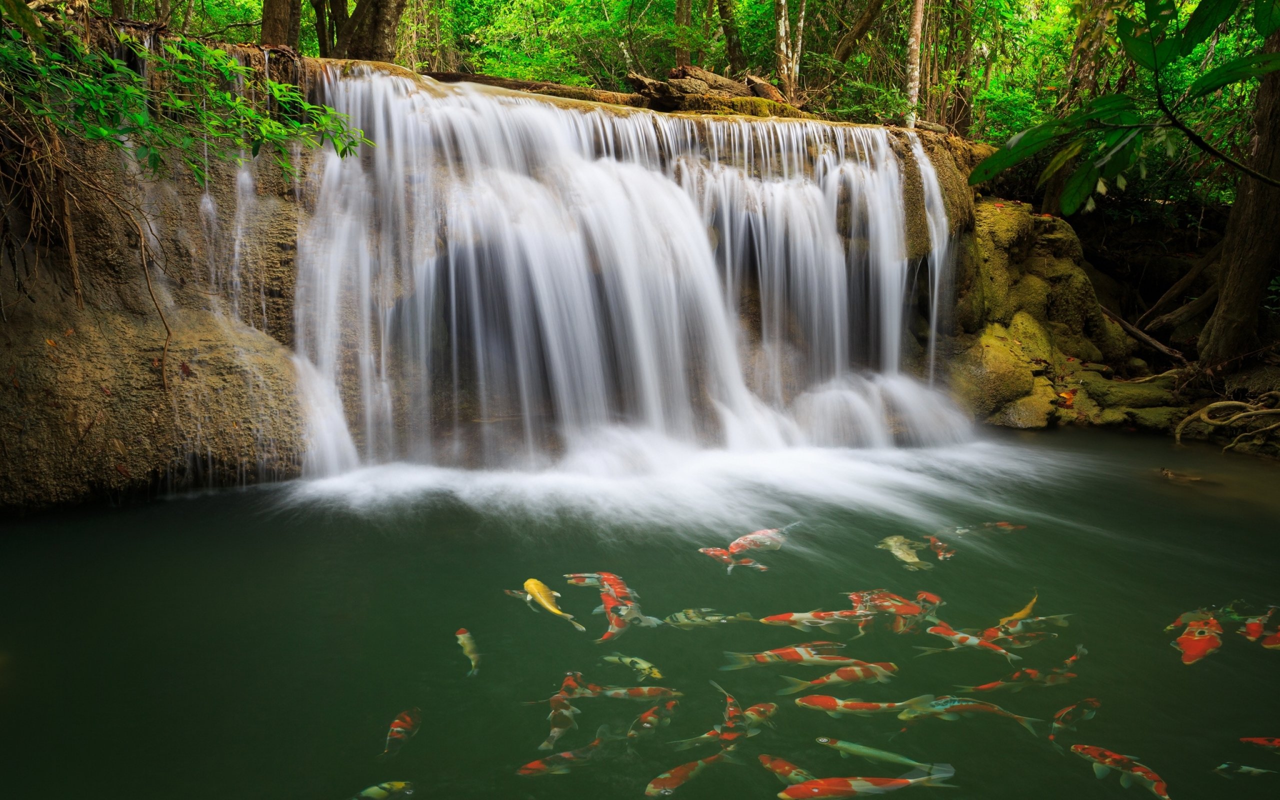 Живые обои 1440. Водопад Эраван. Водопад Эраван рыбки. Парк Эраван Таиланд. Фон для рабочего стола водопад.