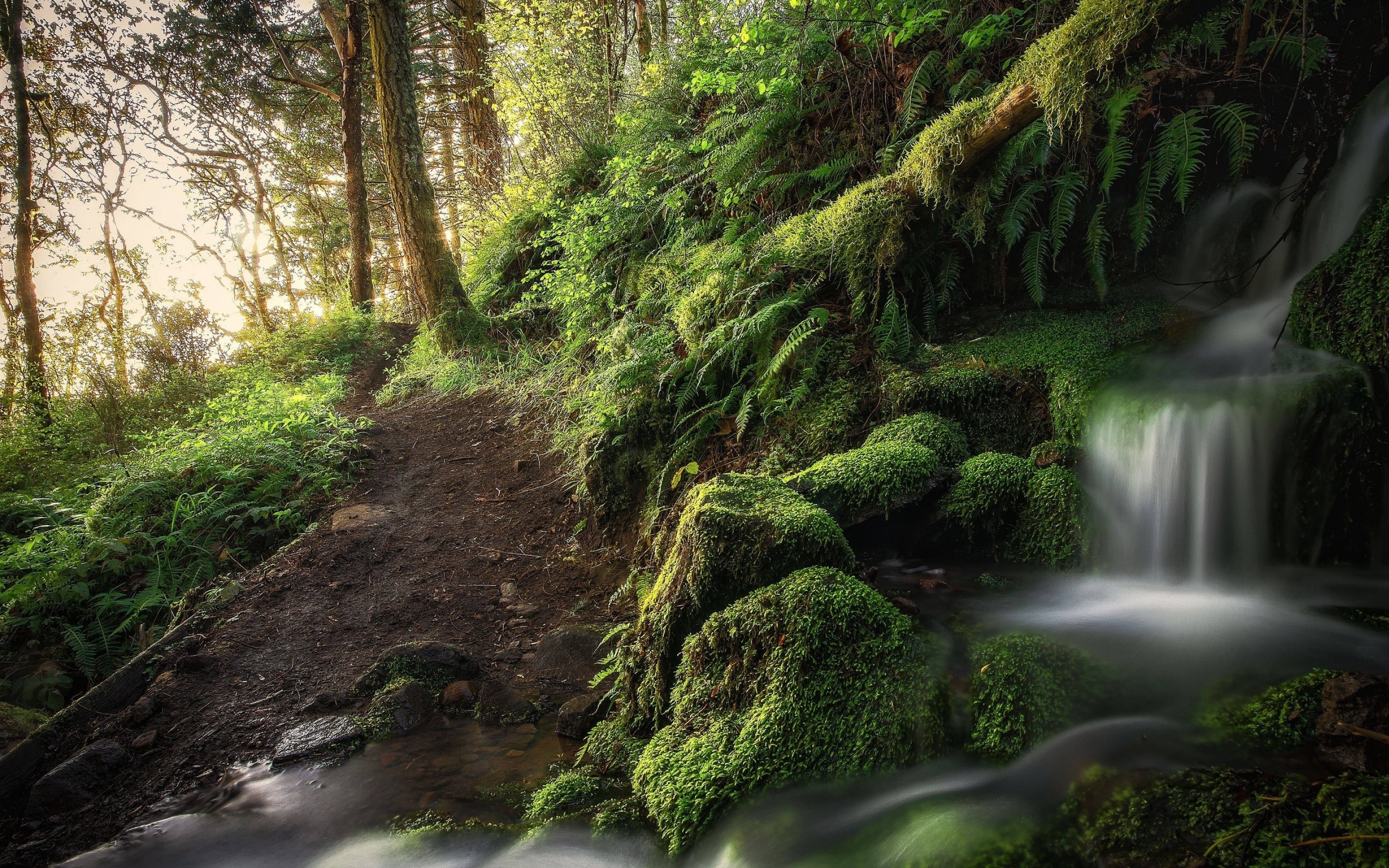 waterfall, River, Landscape, Nature, Waterfalls Wallpaper