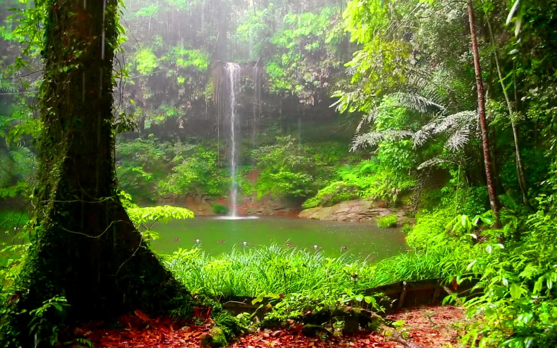 waterfall, River, Landscape, Nature, Waterfalls Wallpaper