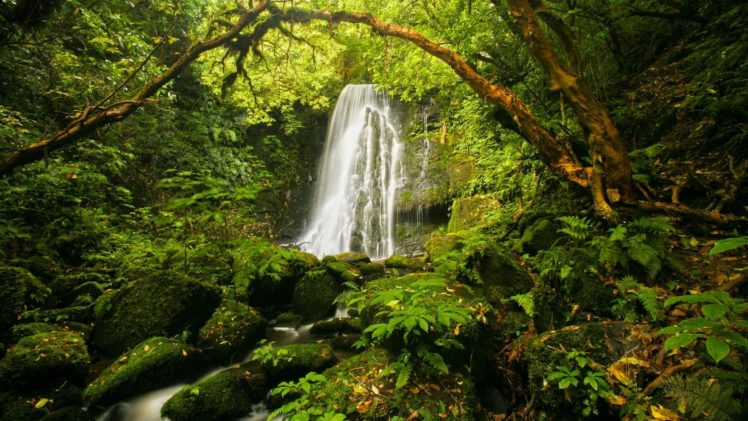 waterfall, River, Landscape, Nature, Waterfalls Wallpapers HD / Desktop ...