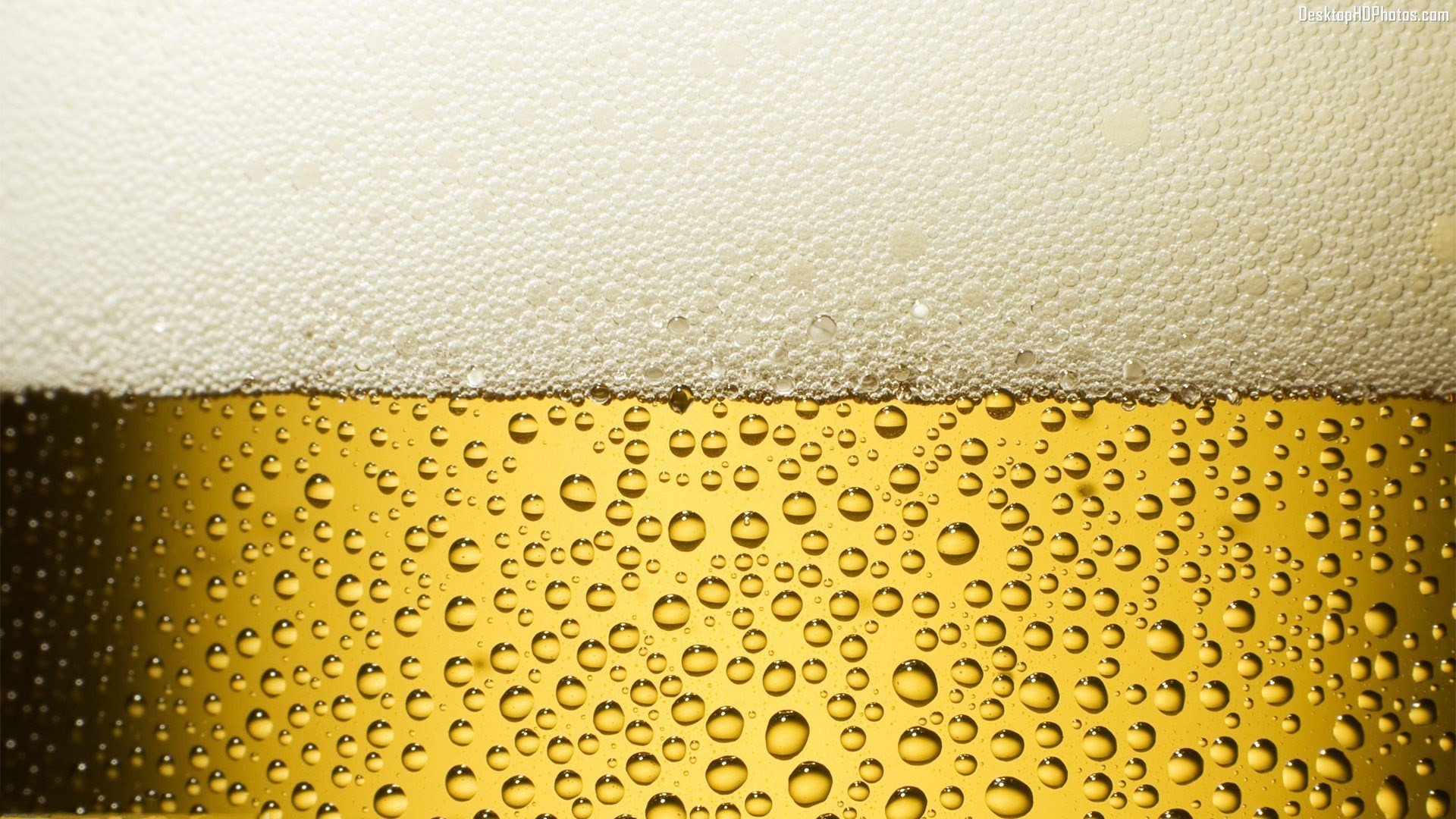 beer, Alcohol, Drink, Drinks Wallpaper