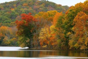 nature, Leafs, Autumn, Beauty, Landscape, Lake