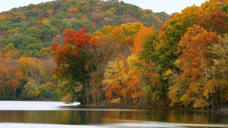 nature, Leafs, Autumn, Beauty, Landscape, Lake HD Wallpaper Desktop Background