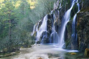 waterfall, Beauty, Forest, Tree, Nature