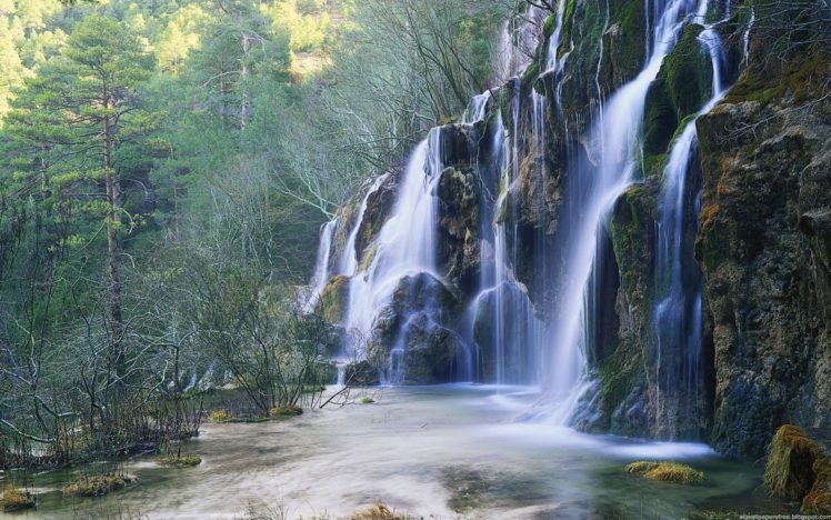 waterfall, Beauty, Forest, Tree, Nature HD Wallpaper Desktop Background