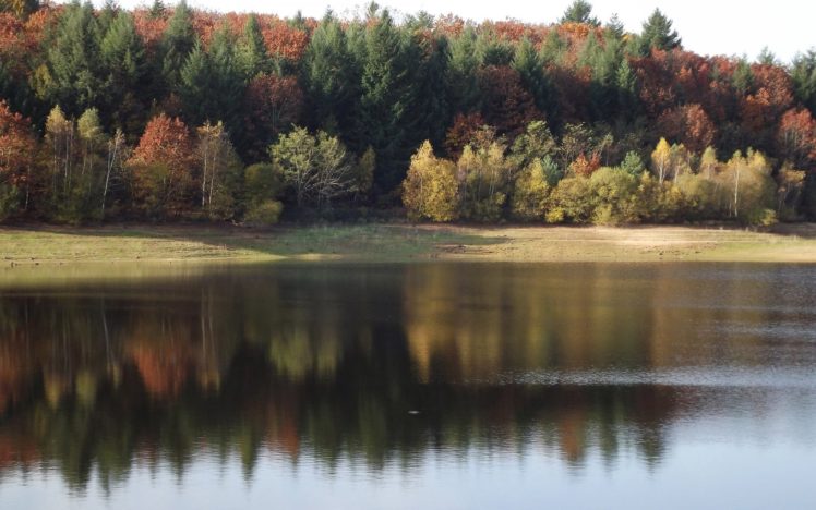 nature, Sky, Tree, Lake, Autumn, Fall HD Wallpaper Desktop Background