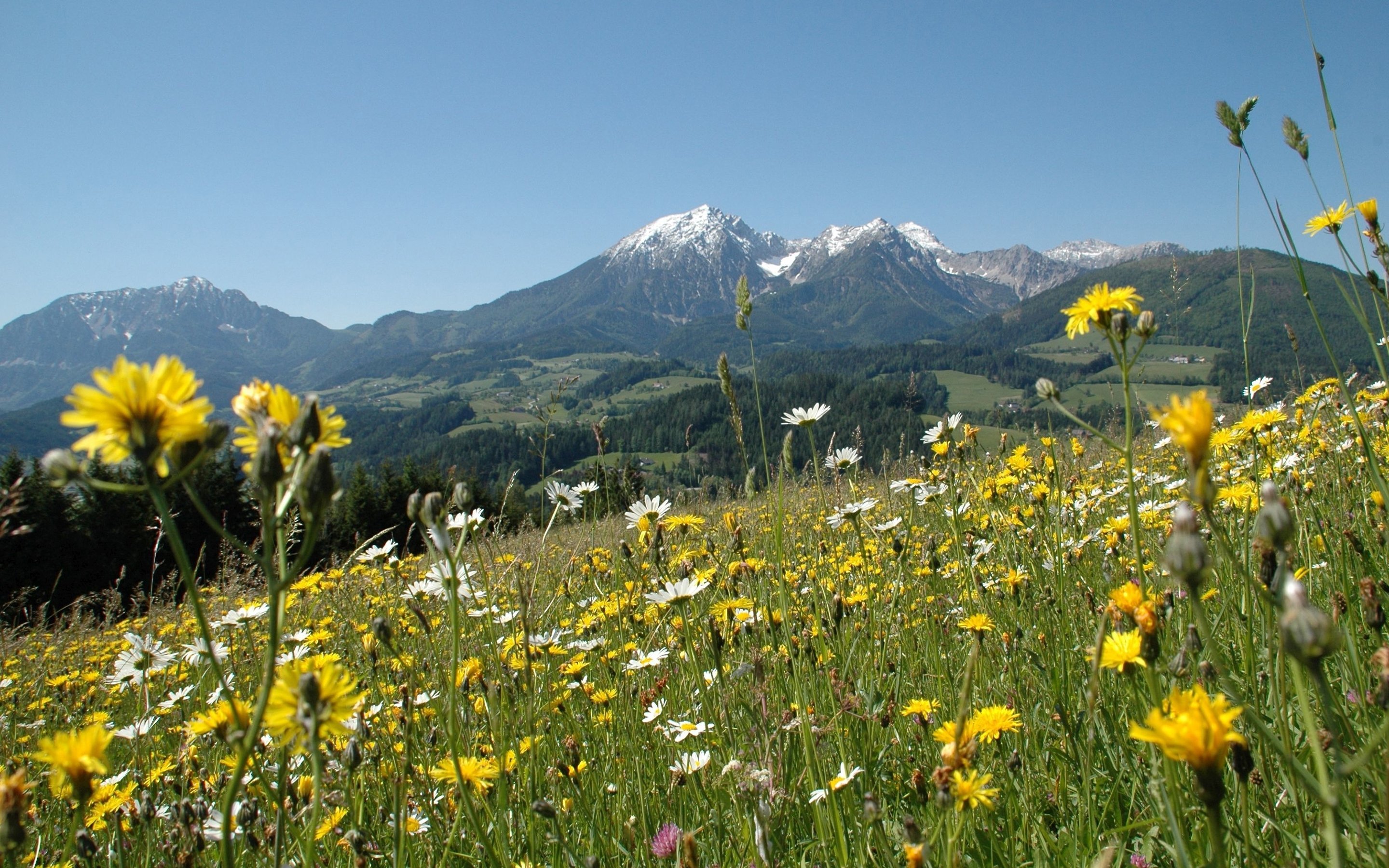 nature, Sky, Tree, Mountain, Spring Wallpaper