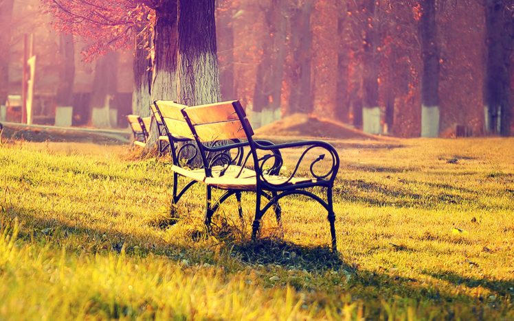 fall park chair lonely nature HD Wallpaper Desktop Background