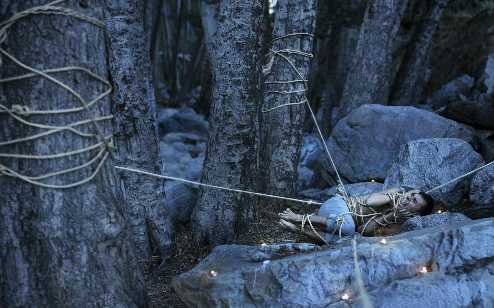 guy, Wood, Rope, Situation, Fear Wallpaper