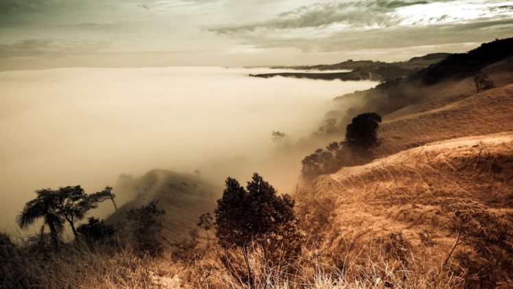 mist, Fog, Landscape HD Wallpaper Desktop Background